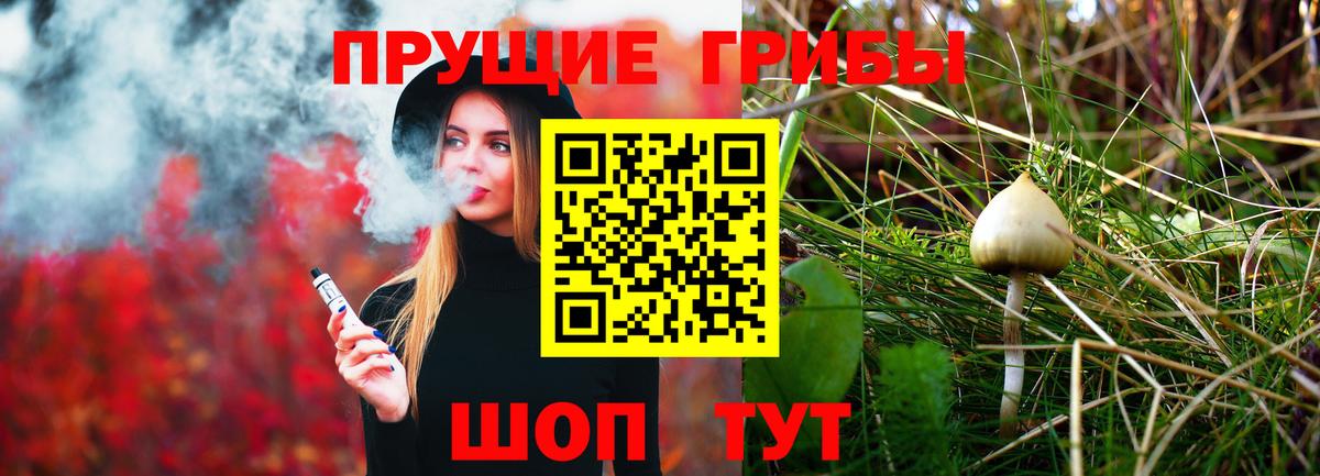 Псилоцибиновые грибы MAGIC MUSHROOMS Коряжма